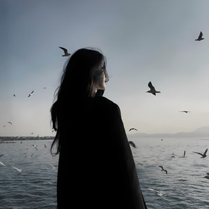 商城交易小狐导航
